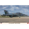 EA-18G Growler Vaq-130 Zappers" 1/48"