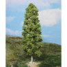 1 Bouleau / Birch tree 27cm