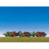 12 Buissons / 12 Bushes